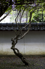 藤山神社