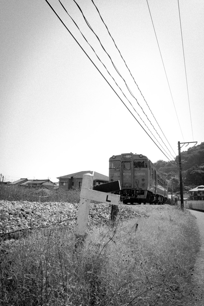 Seaside Liner