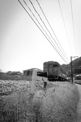 Seaside Liner