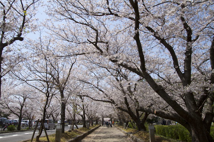 大村公園