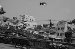 石橋群