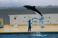 マリンワールド 002
