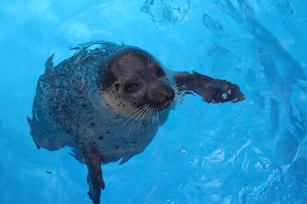 マリンワールド 018