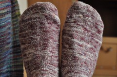 lovely socks