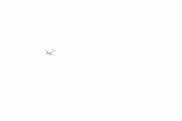 fly