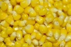 corn