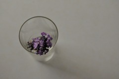 flower vase