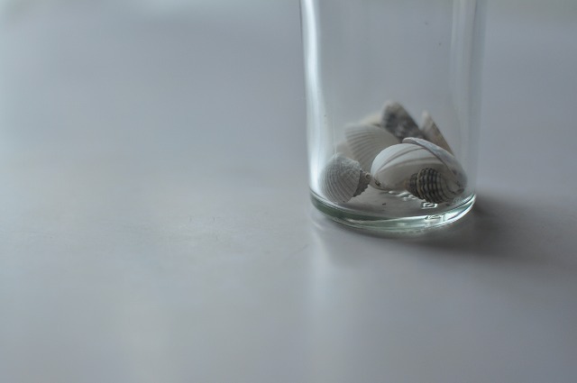 shell
