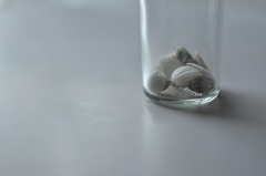 shell