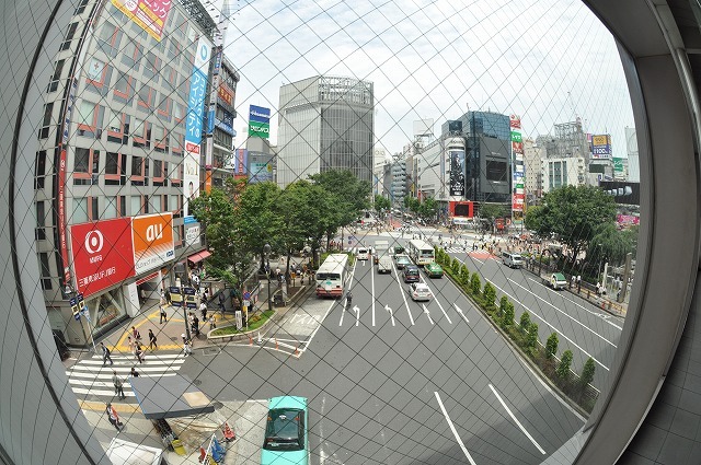 Shibuya