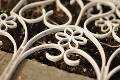 flower bed