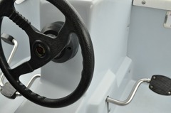 steer