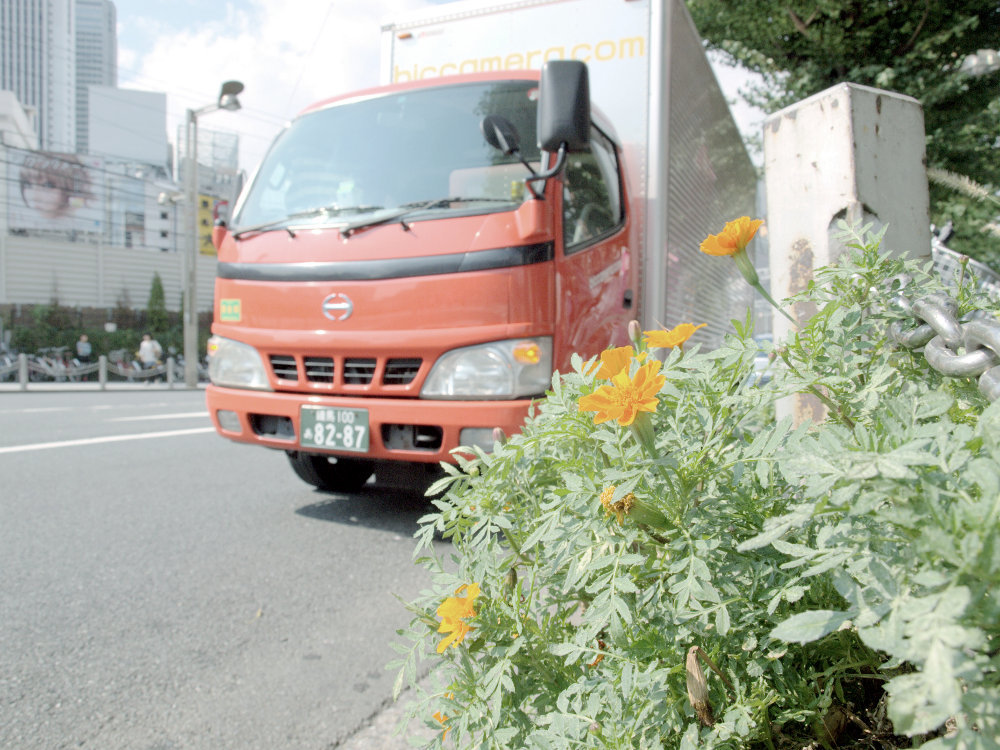 オレンジの花