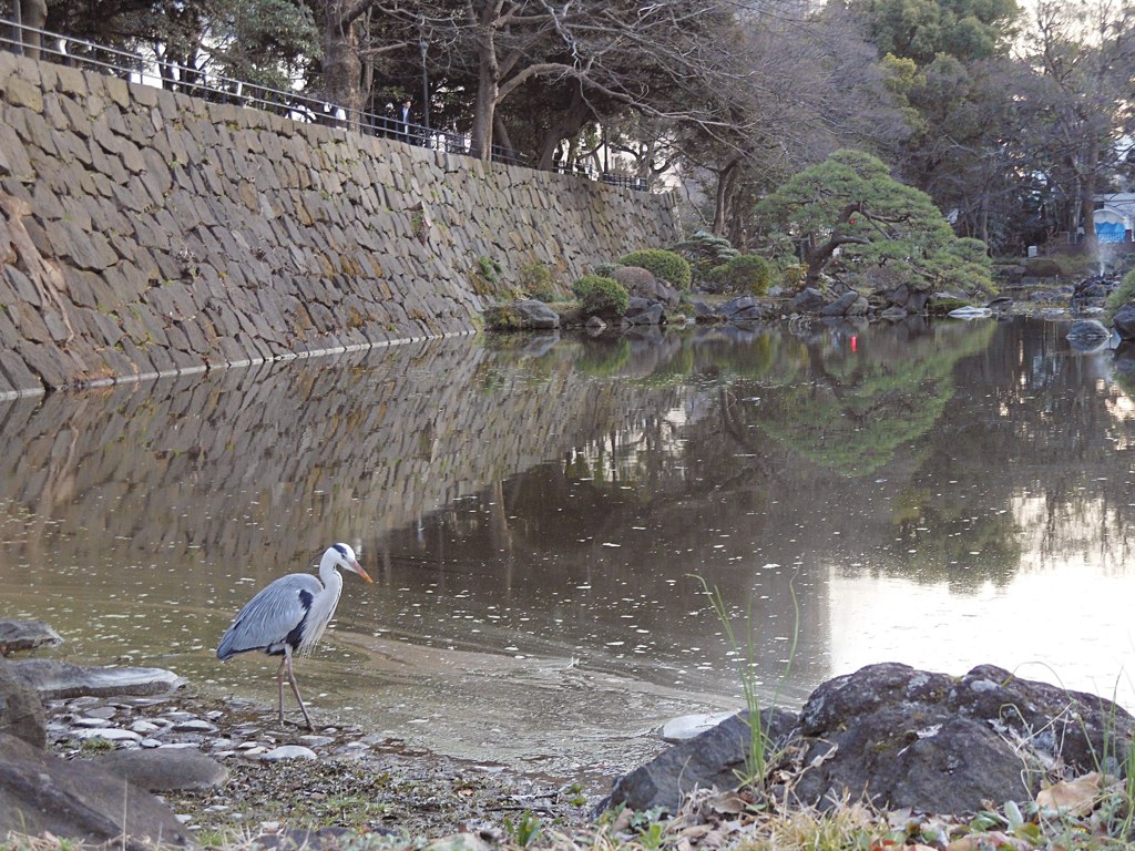 どんより曇り空
