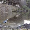 どんより曇り空