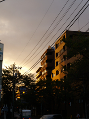 秋、夕暮れ