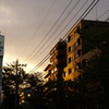 秋、夕暮れ