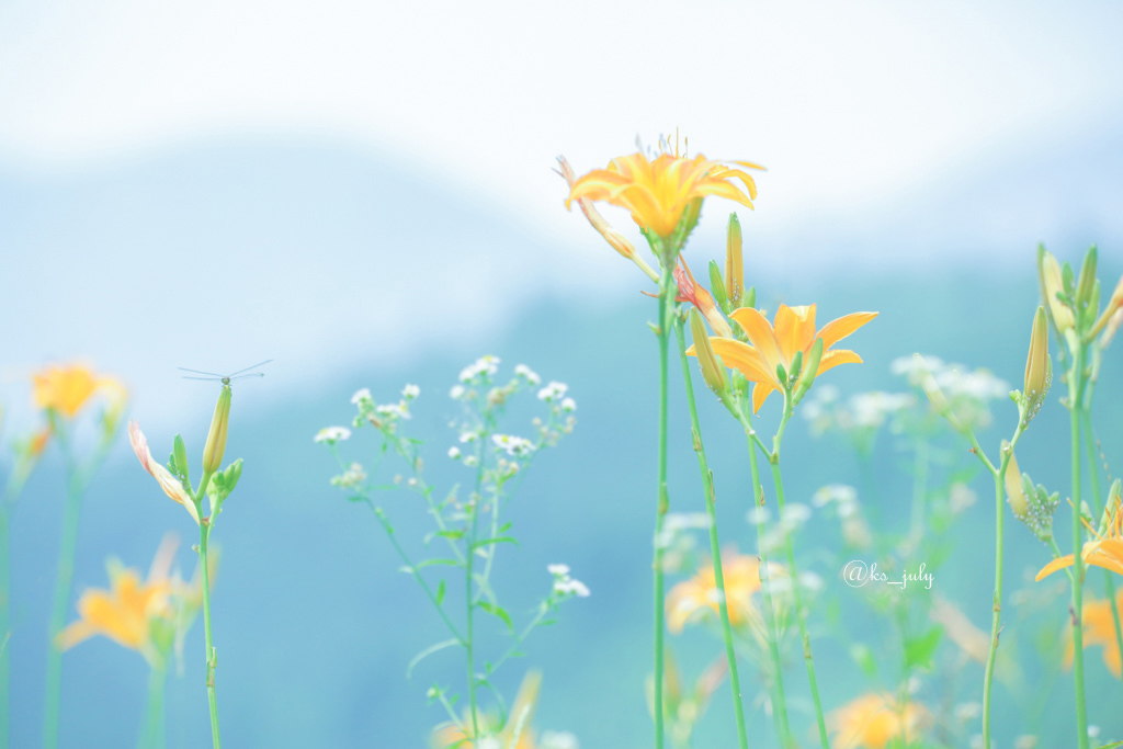 もうすぐ夏休み
