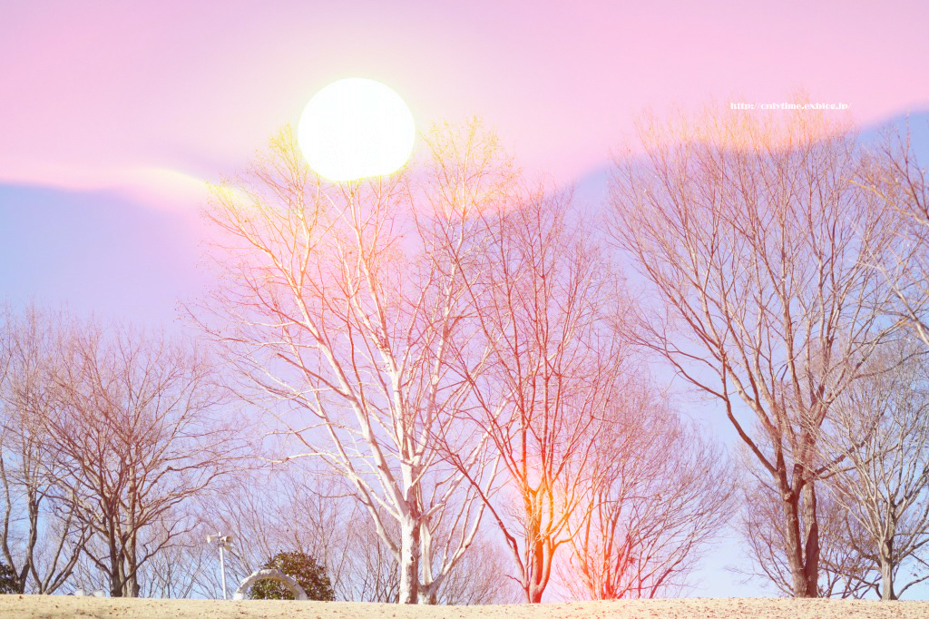 winter