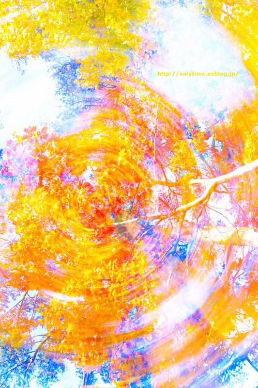 紅葉する記憶する*2