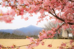 つくば山