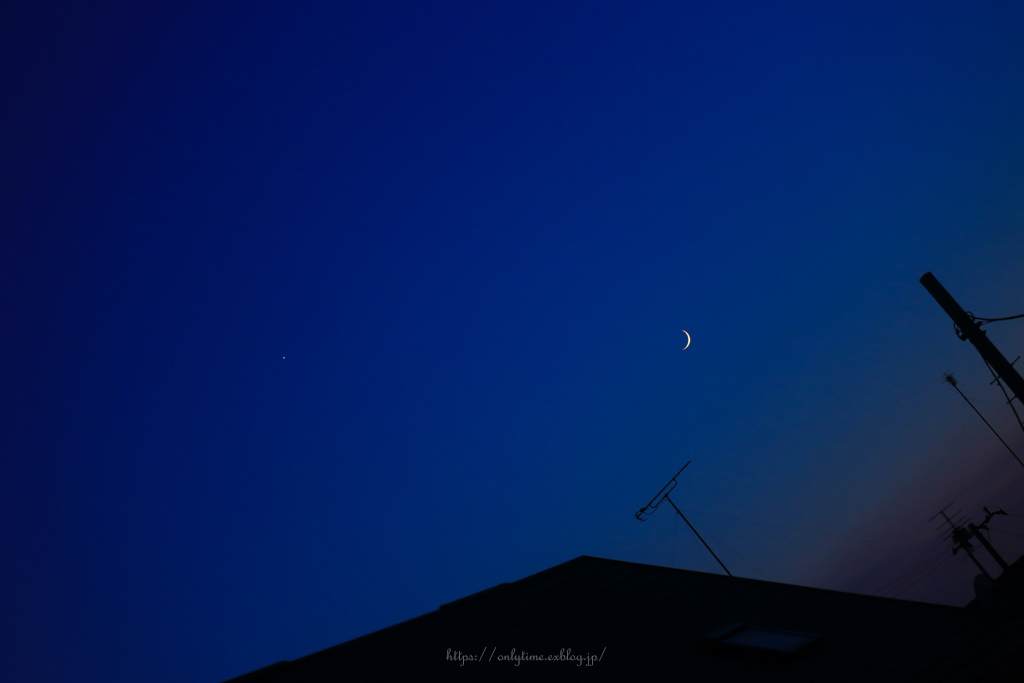 Little Moon 