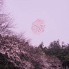 雨　降ったり止んだり　今日