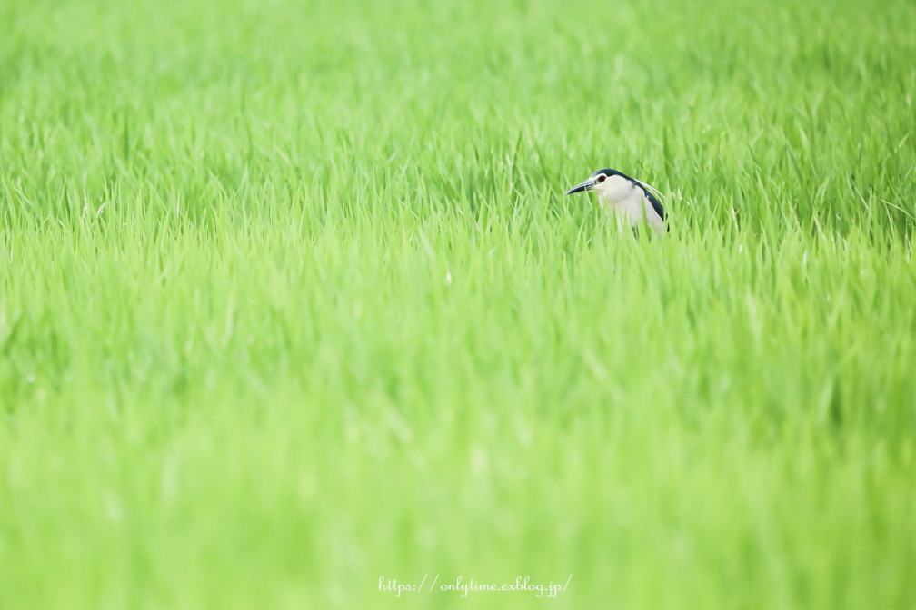 ぽつんと♪