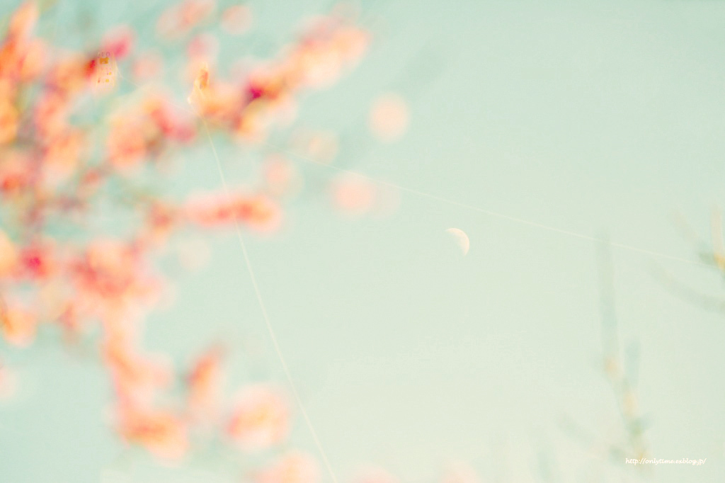 day moon 