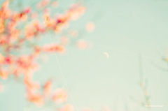 day moon 