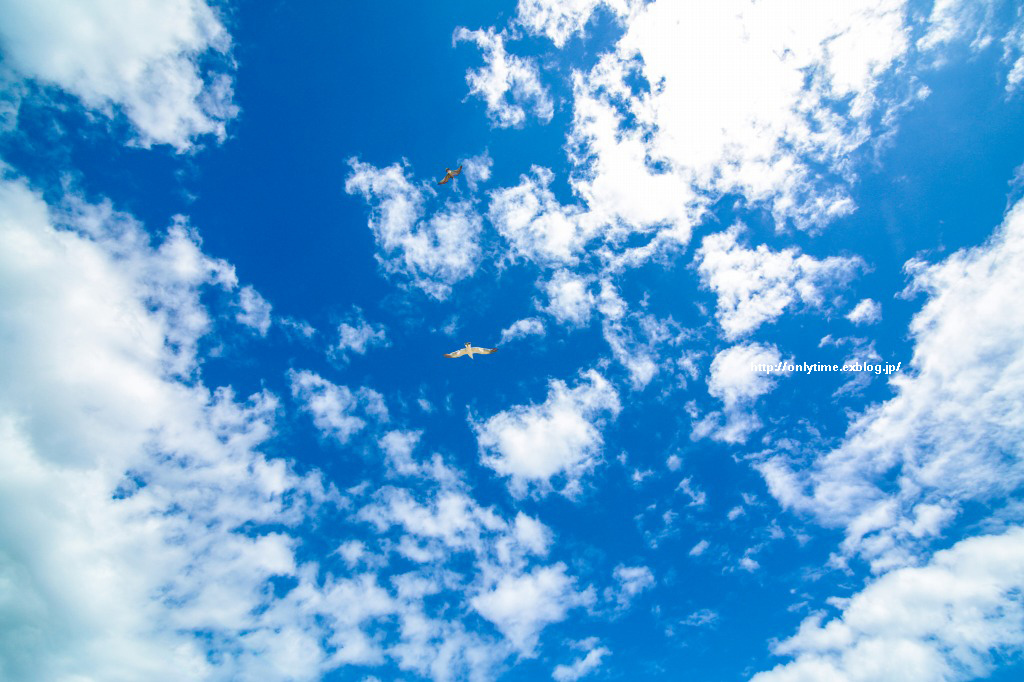 日曜日の空