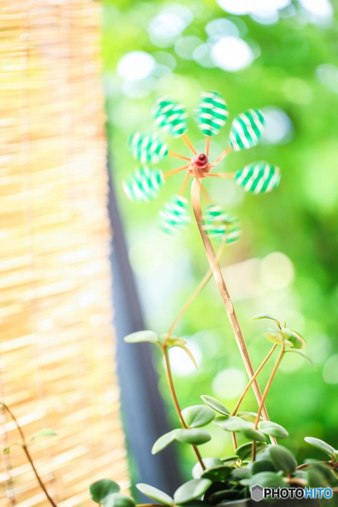 夏至