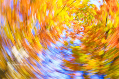 紅葉する記憶する*1