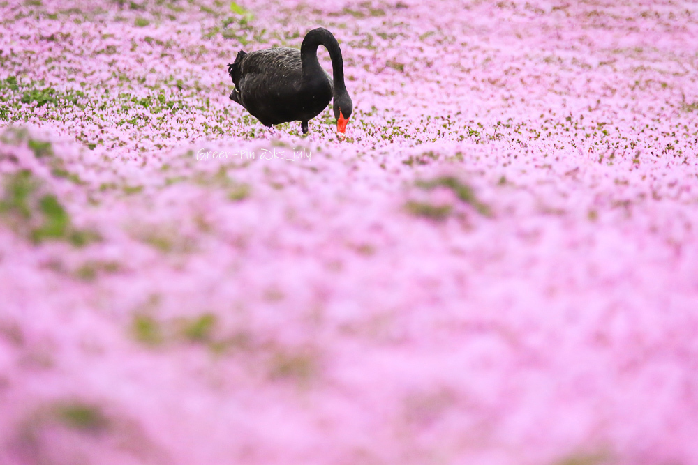 春を