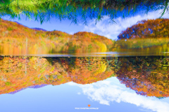 The Autumn Season. 