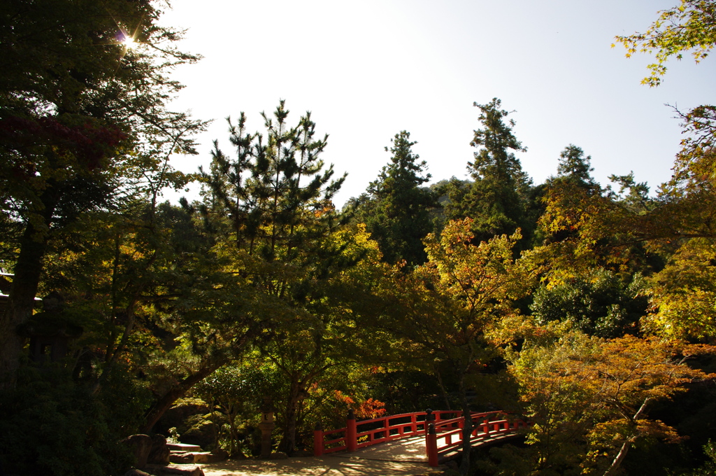 庭園風に