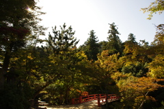 庭園風に