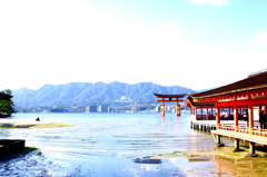 赤×水色