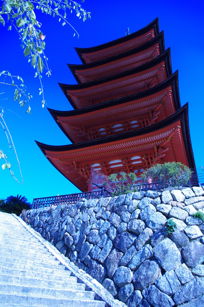 青×赤