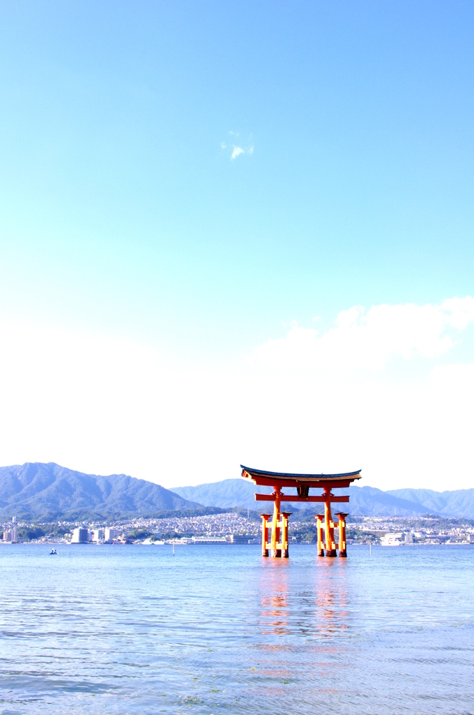鳥居×水色