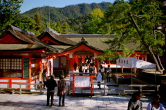 神社入り口
