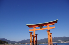 鳥居×青