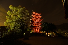 宮島　徘徊