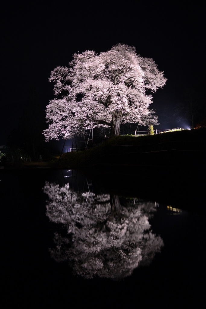 Magic Light