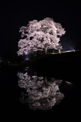 Magic Light