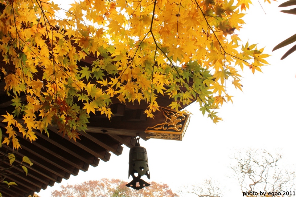紅葉狩り