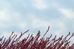 秋の空