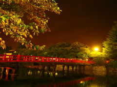 小田原城に架かる橋