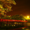 小田原城に架かる橋