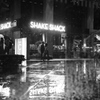 長雨の日々